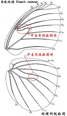 上传的图片