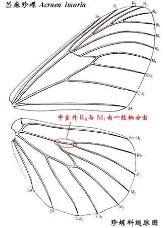 上传的图片