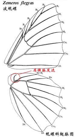 上传的图片