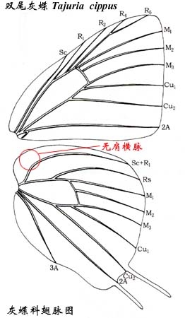 上传的图片