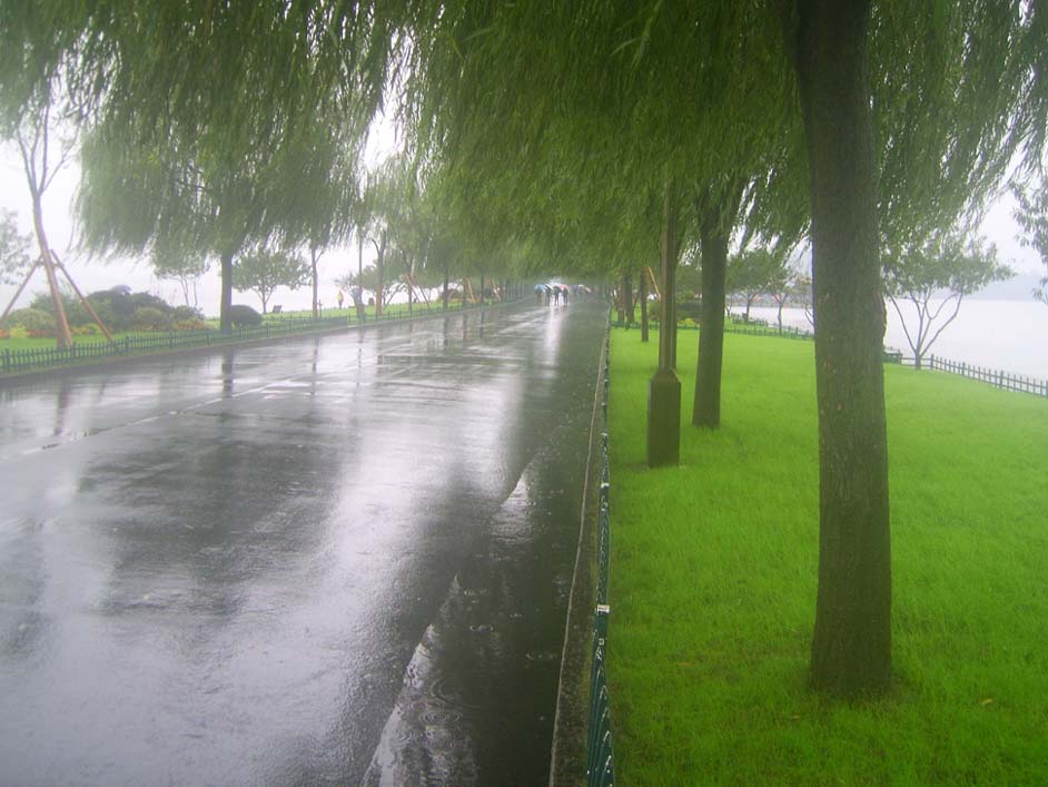 上传的图片