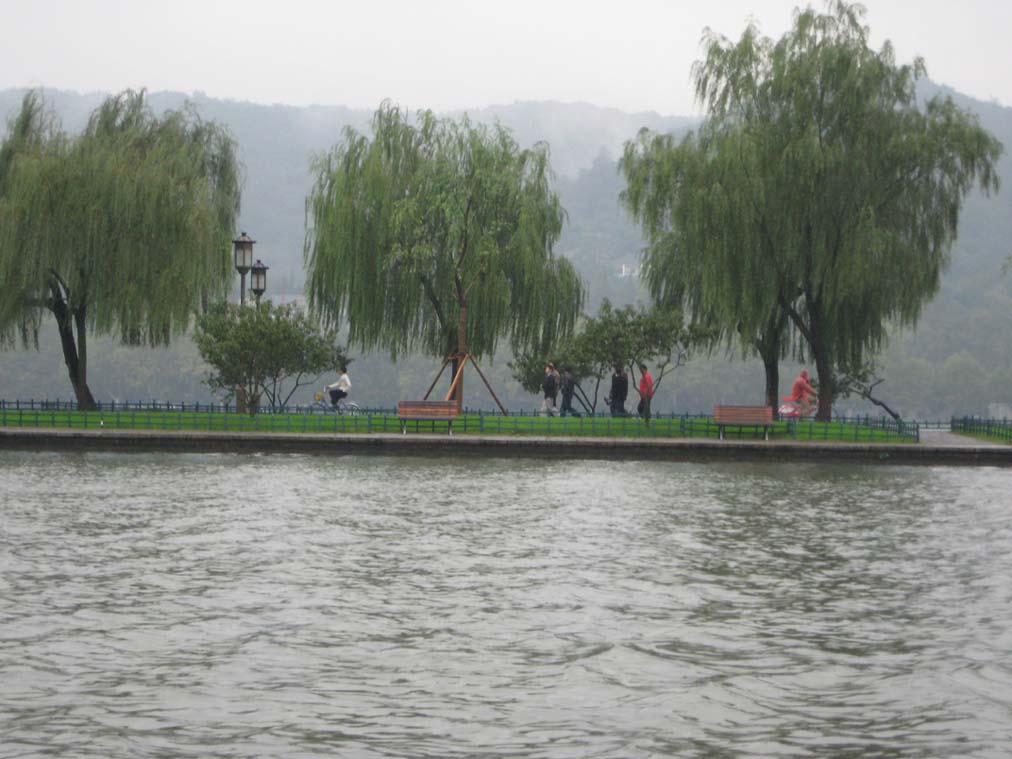 上传的图片