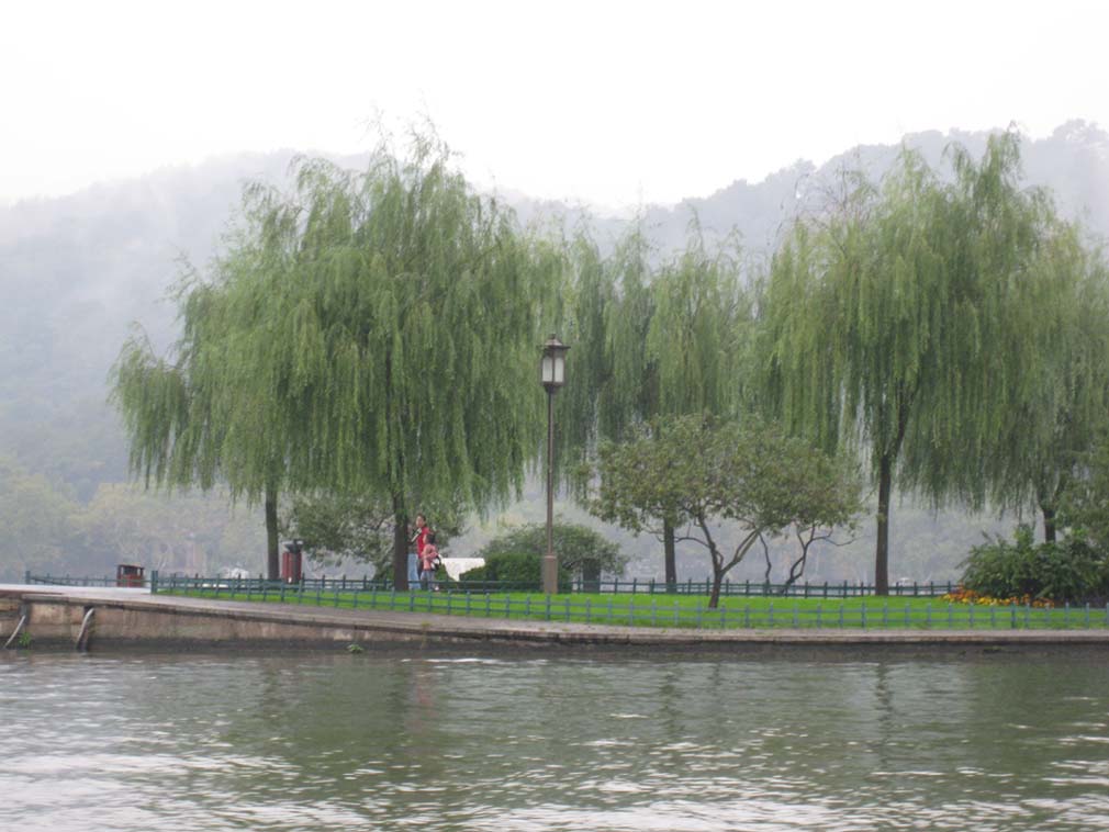 上传的图片