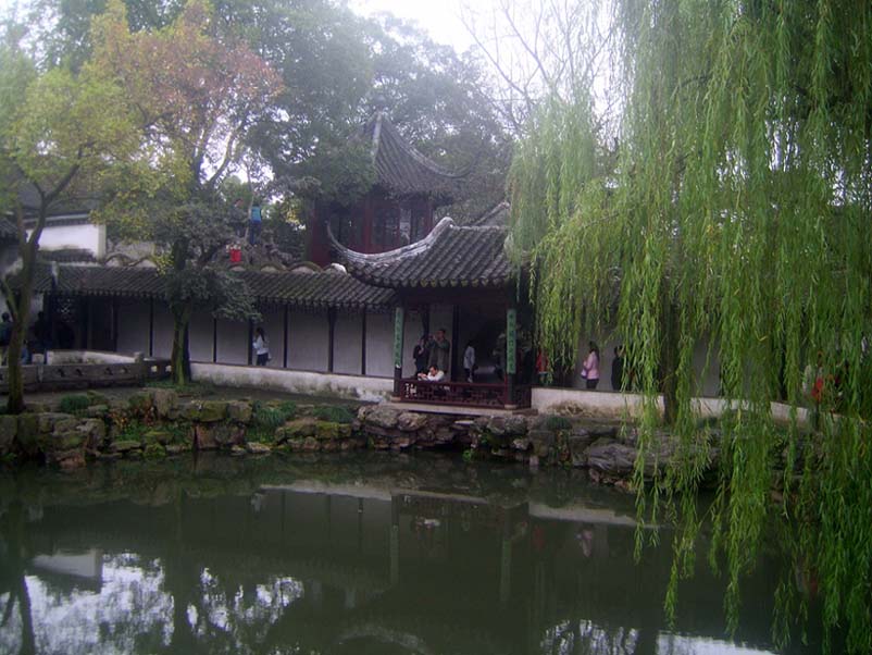 上传的图片