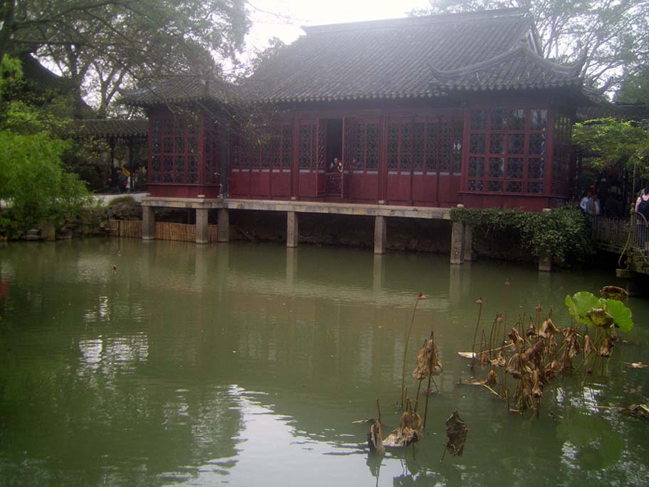 上传的图片
