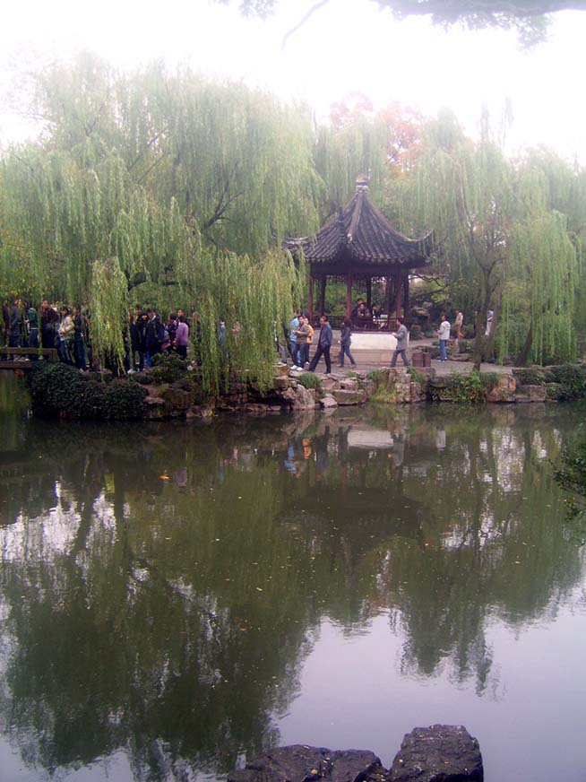 上传的图片