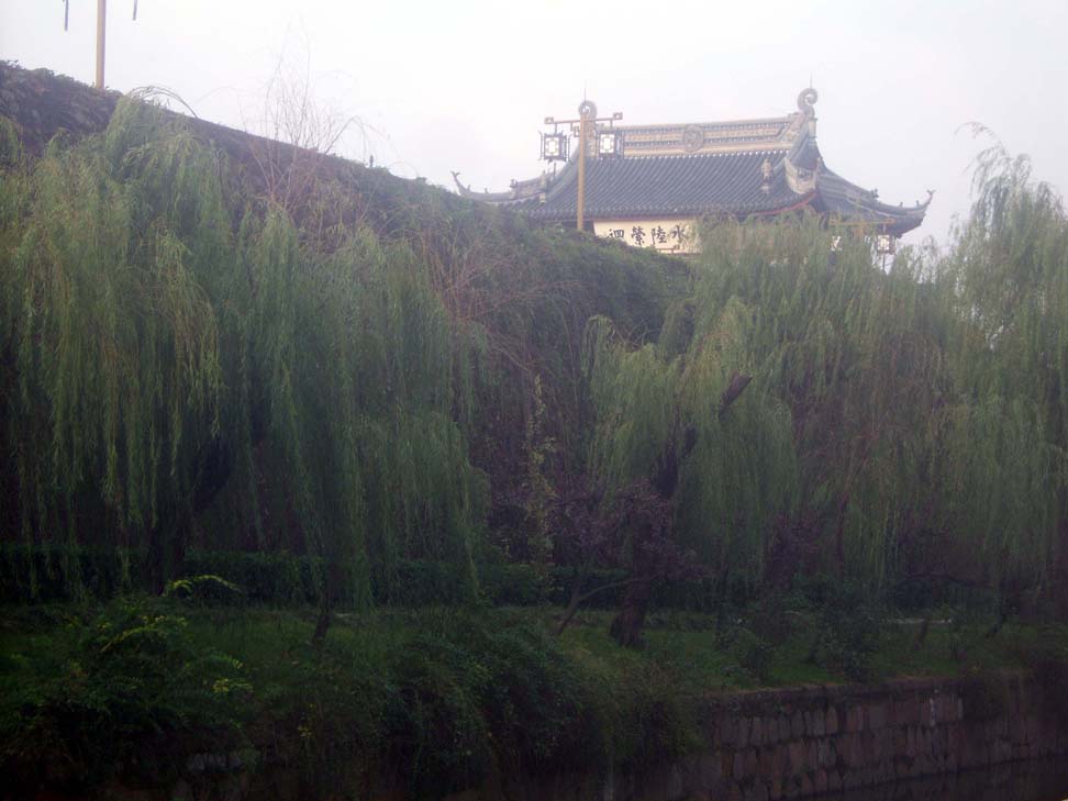 上传的图片