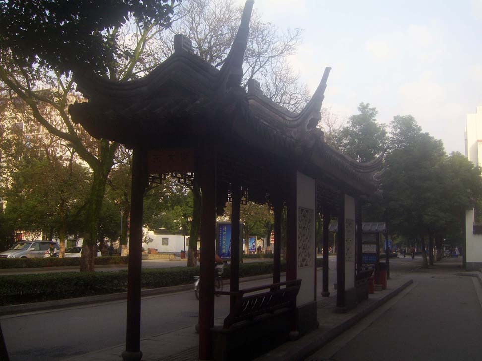 上传的图片