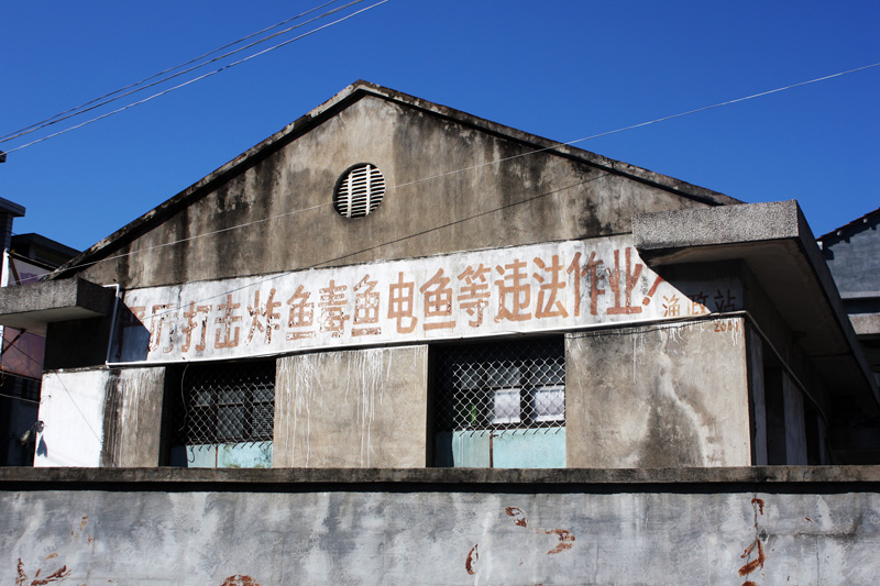 上传的图片
