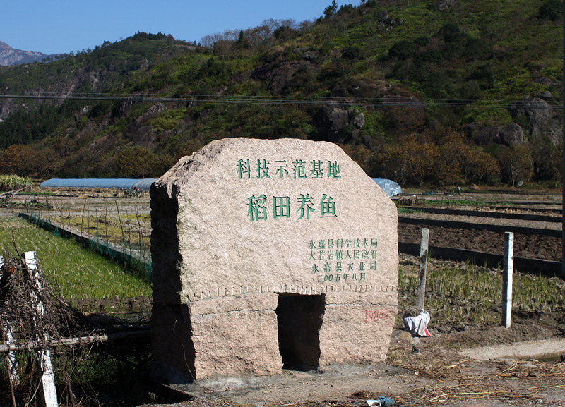 上传的图片