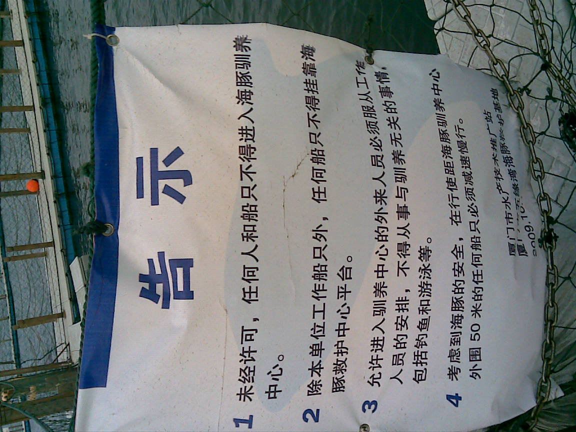 上传的图片