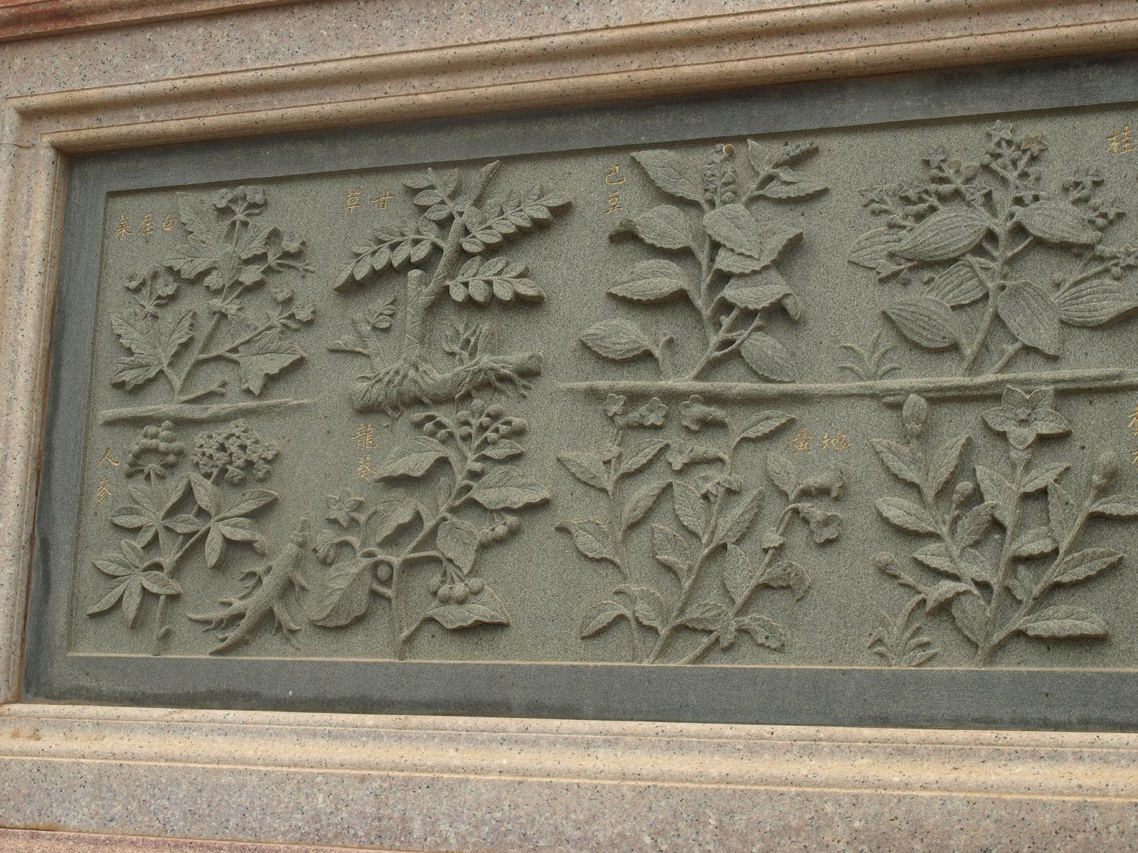 上传的图片