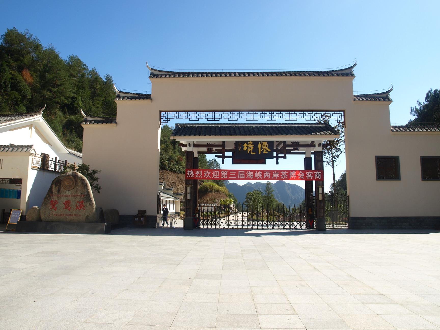 上传的图片