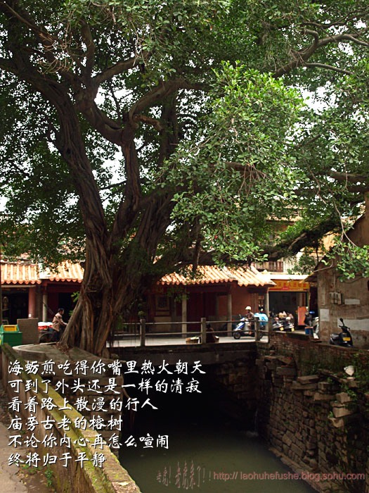 上传的图片