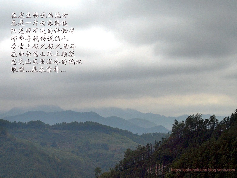 上传的图片