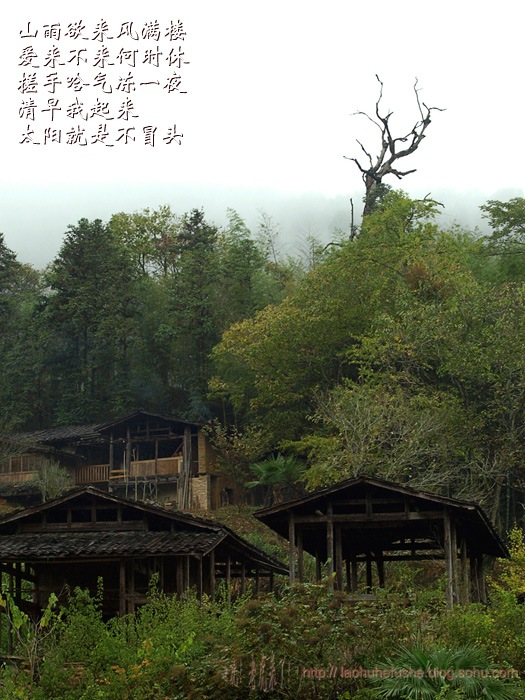 上传的图片