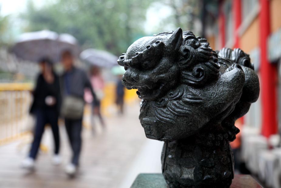 上传的图片
