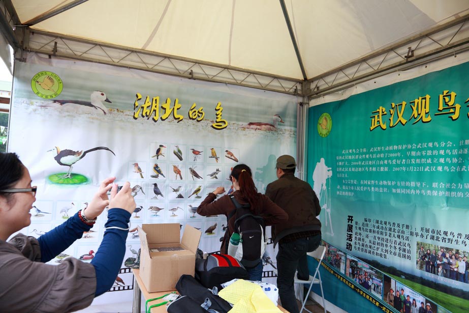 上传的图片