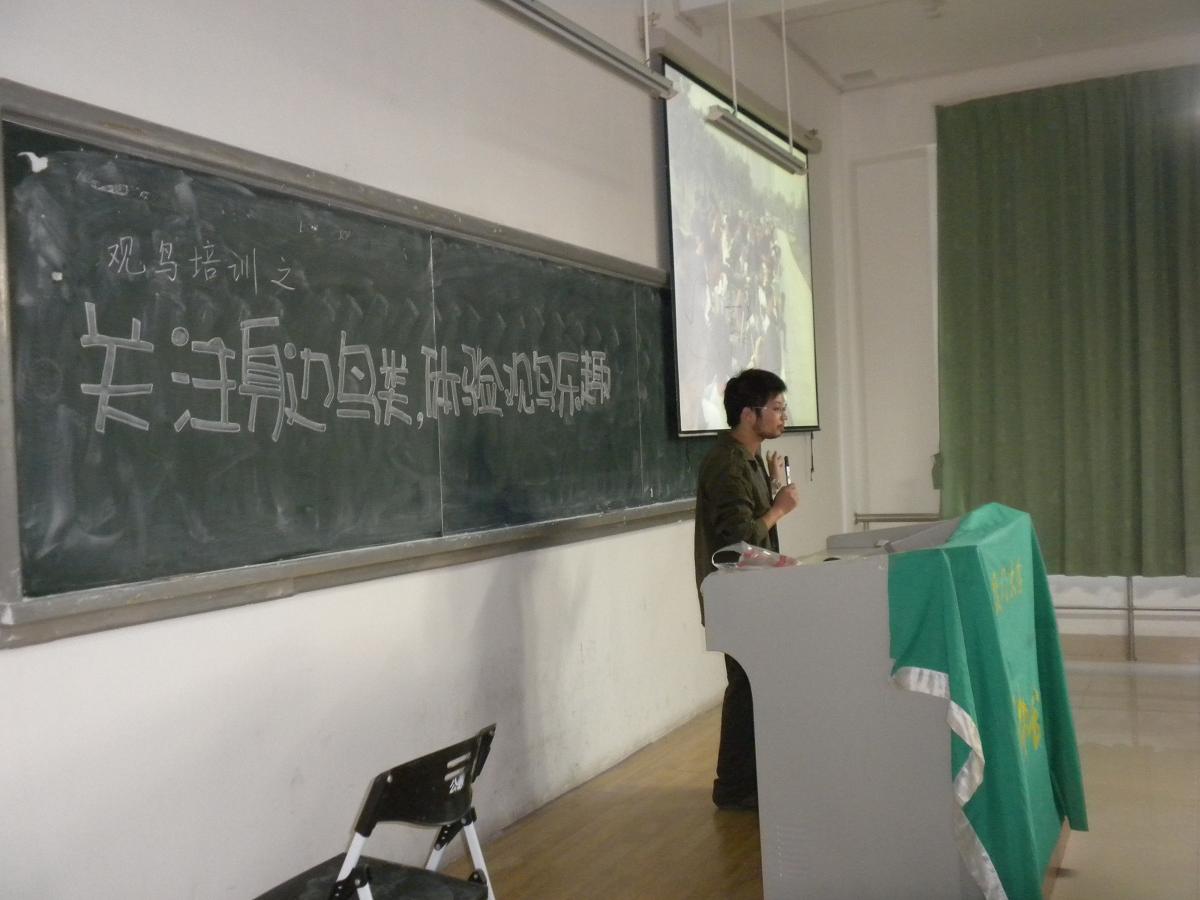 上传的图片