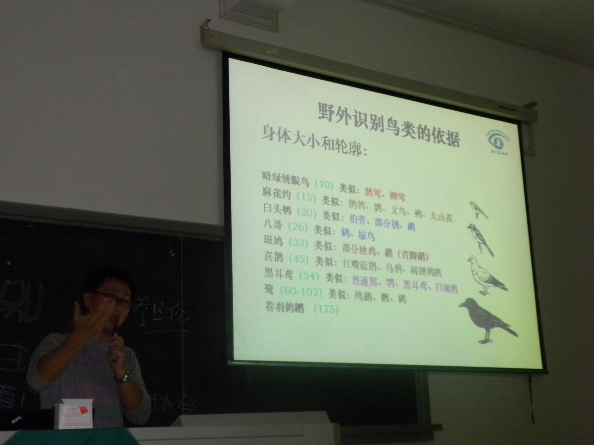 上传的图片