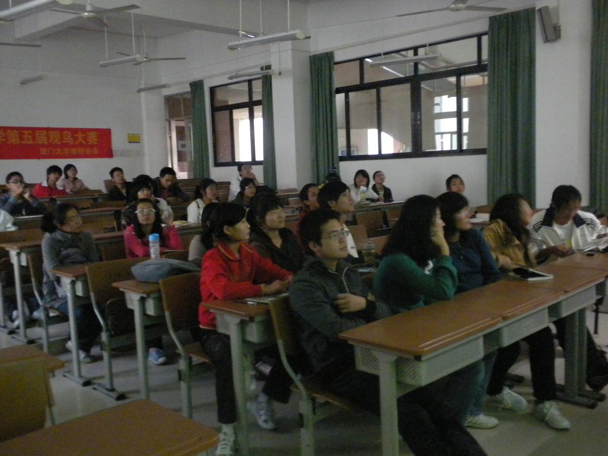 上传的图片