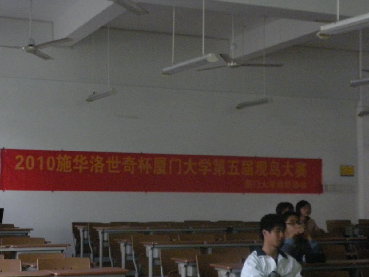 上传的图片