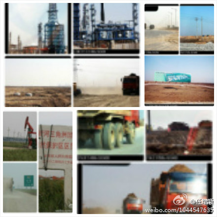 上传的图片