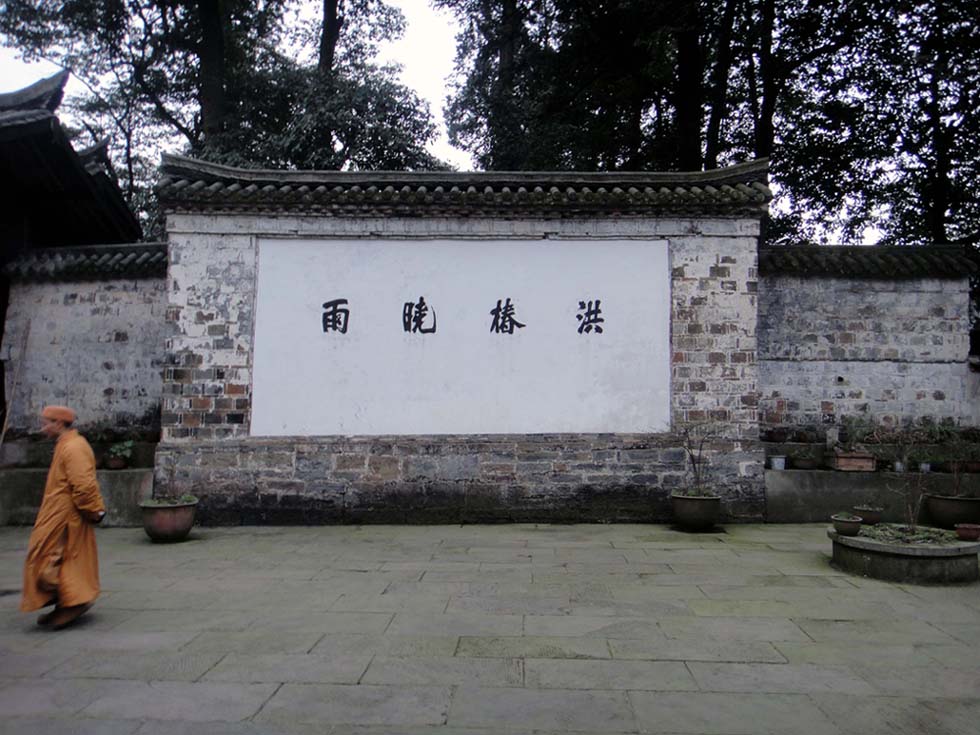 上传的图片