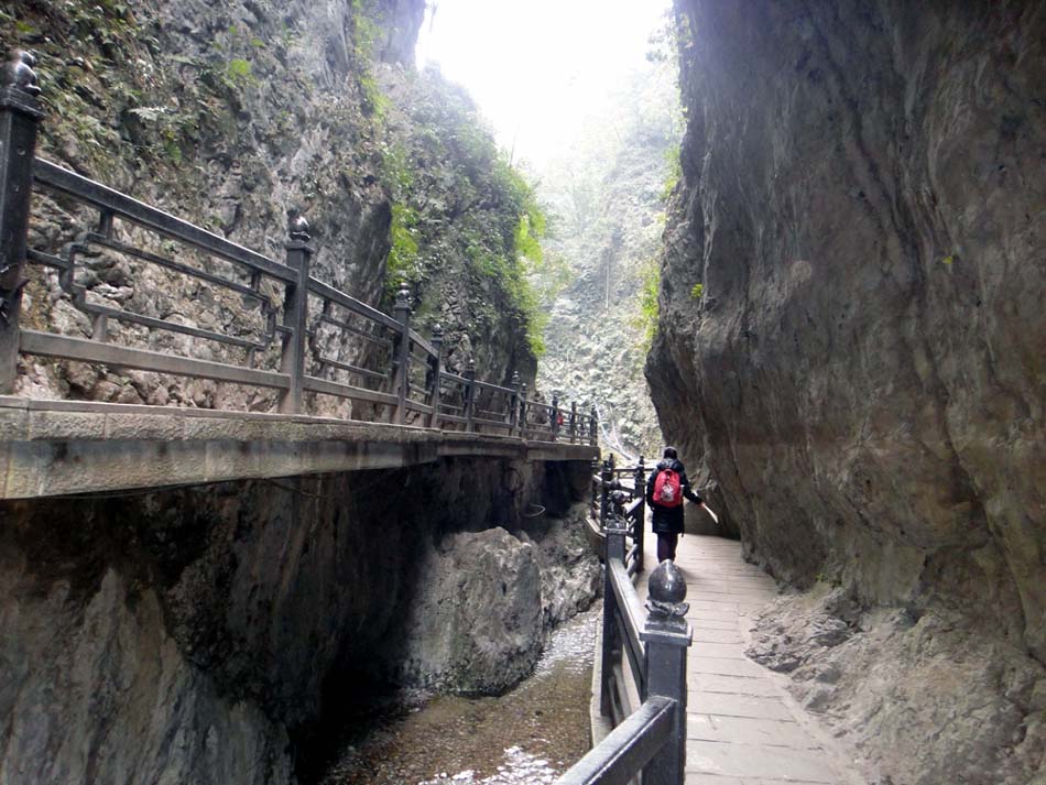 上传的图片