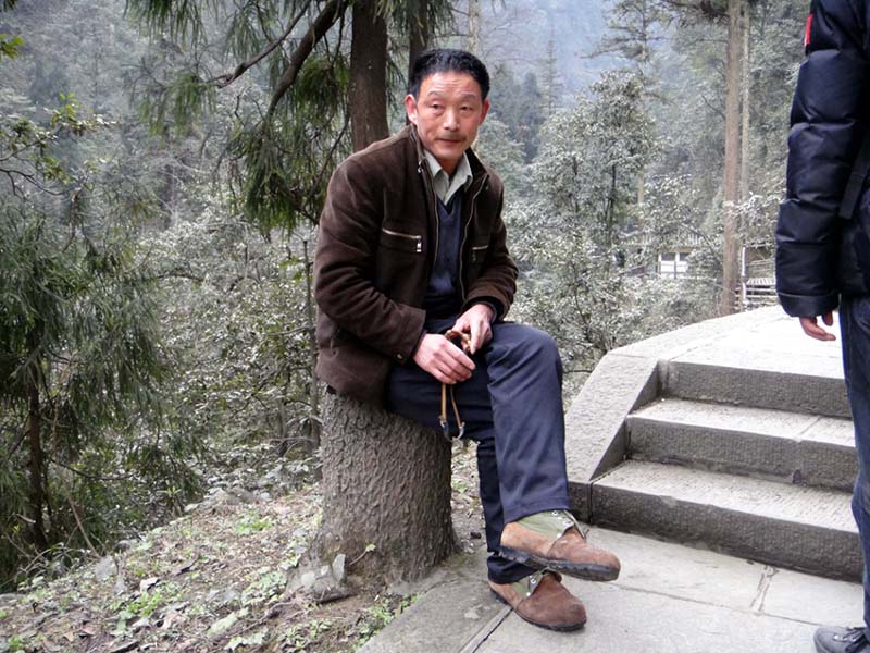 上传的图片