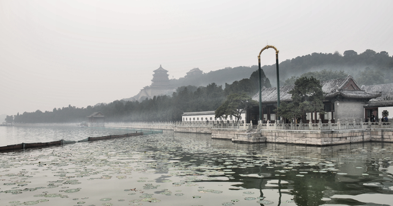 上传的图片