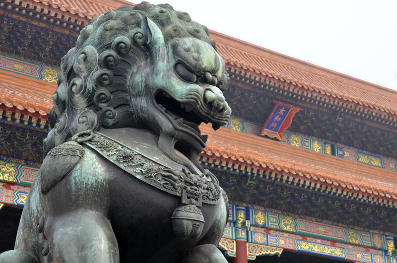 上传的图片