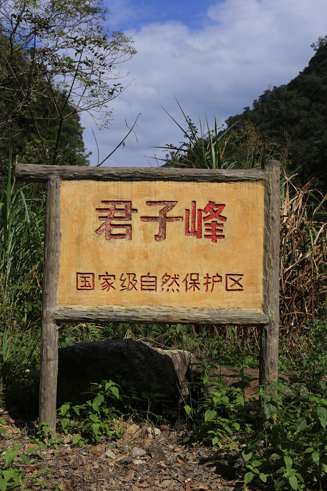 上传的图片
