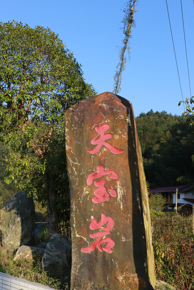 上传的图片