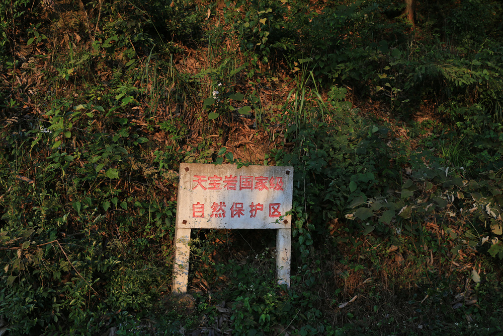 上传的图片