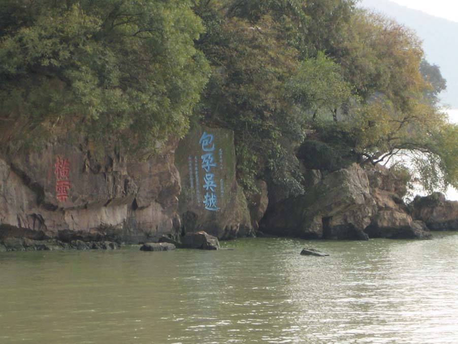 上传的图片