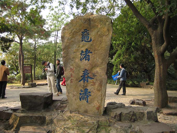 上传的图片