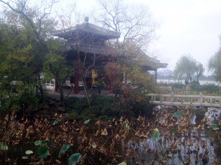 上传的图片
