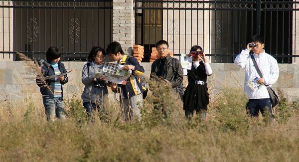 上传的图片