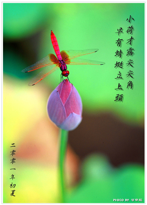 上传的图片