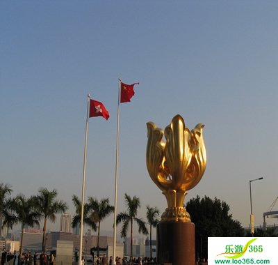 上传的图片