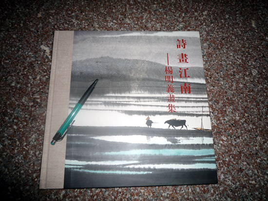 上传的图片