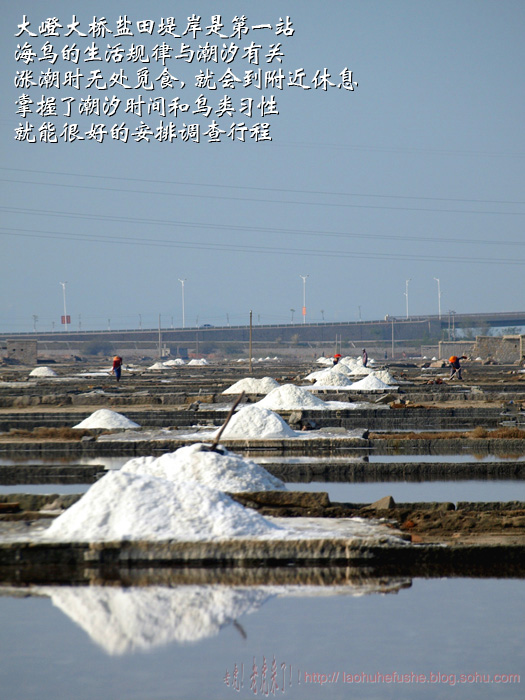 上传的图片