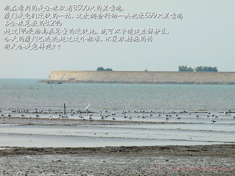 上传的图片