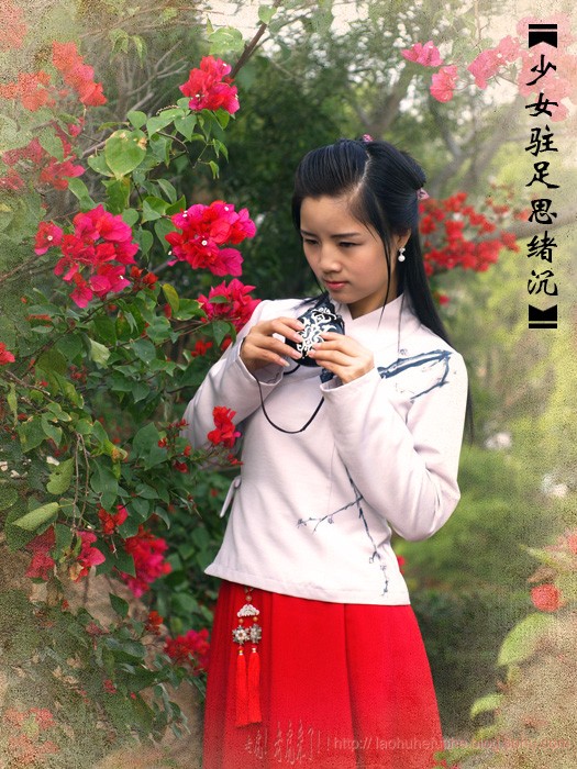 上传的图片