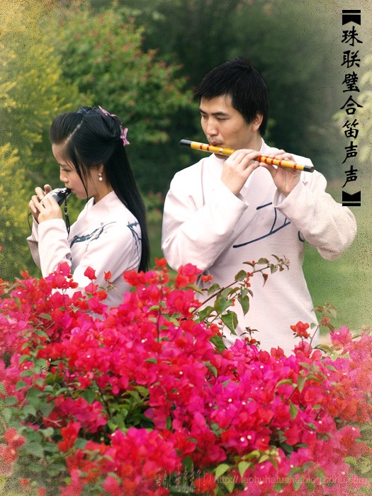 上传的图片