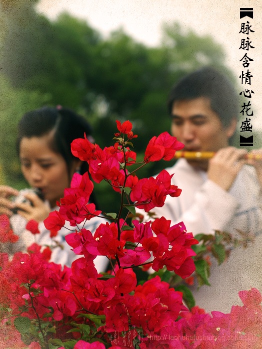 上传的图片