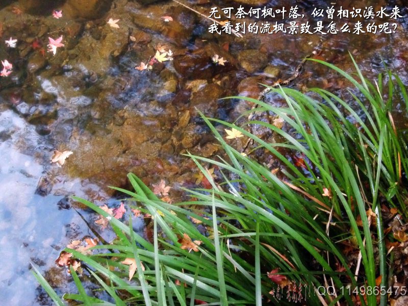 上传的图片