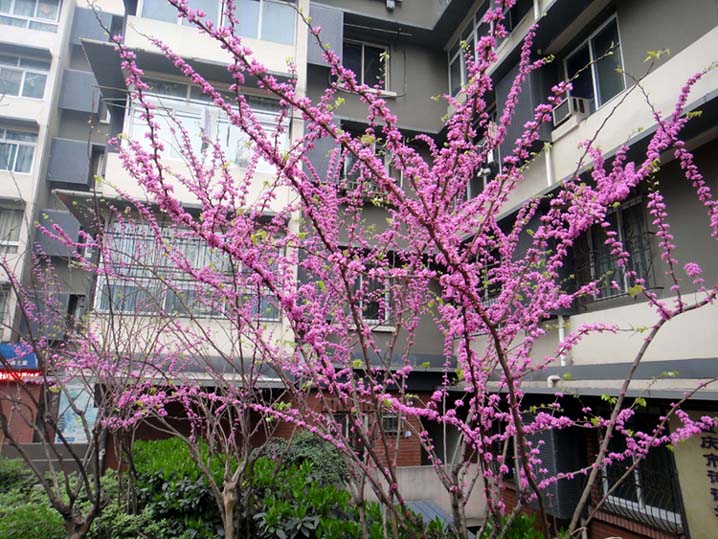 上传的图片