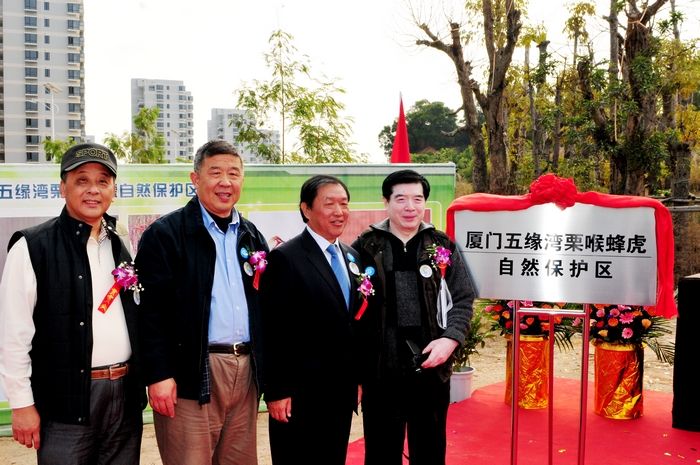 上传的图片